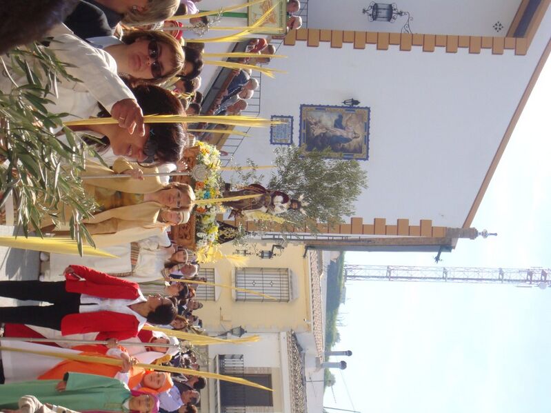 Archivo:Imagen de la Borriquita.JPG