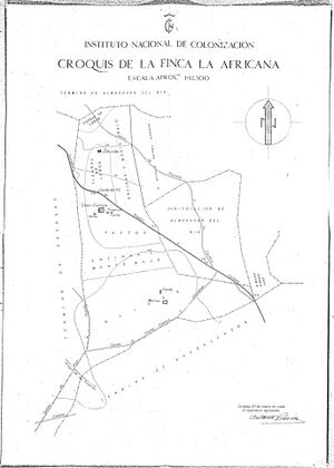 TerminoAfricana2.jpg