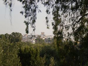 P6020145.JPG