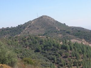 Torrearboles.jpg