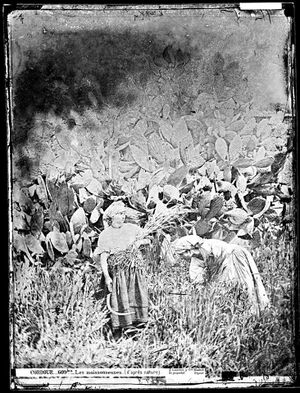 Las segadoras (1860s).jpg