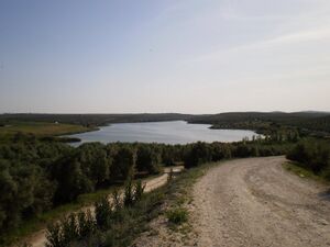 P5190001.JPG