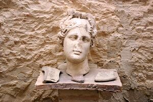 Venus montemayor.JPG