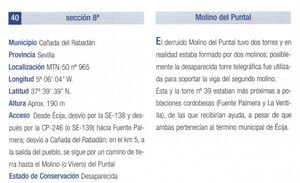 Puntal Torre.jpg