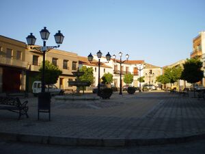 RIMG0163.JPG