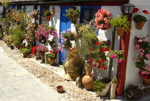 Marroquíes 2010.jpg