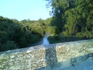 Puente de piedra baena 5.jpg