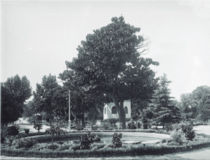 Jardines de la Agricultura (1896).png