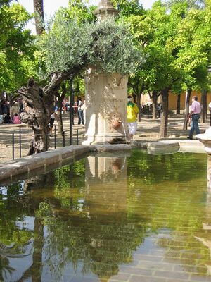 Fuente del patio de los Naranjos Caño del Olivo.jpg