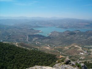Pantano desde el canuto.jpg