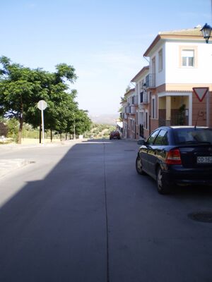 P6150469.JPG