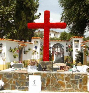 San José 2011.JPG