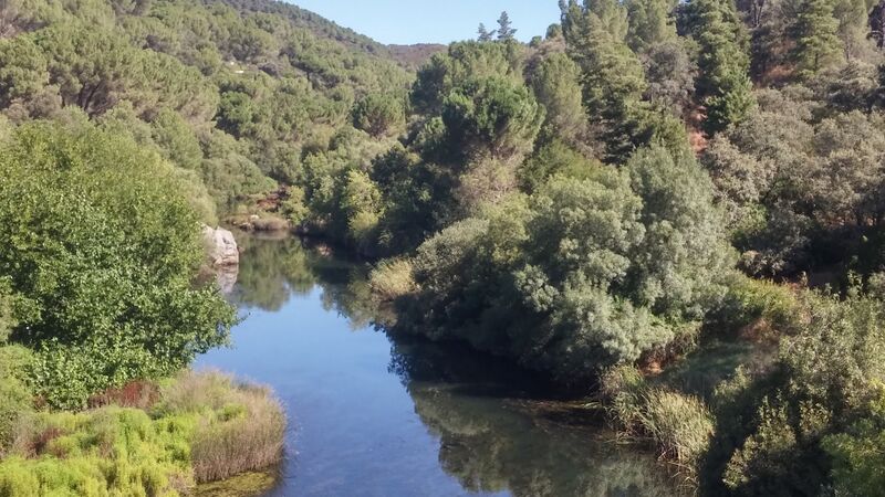 Archivo:Río Guadiato desde el puente de los Arenales.jpg