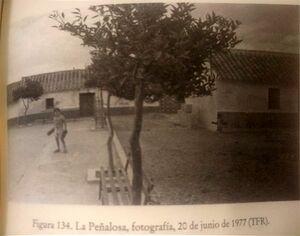 La-Penalosa-ano-1977-5.jpg