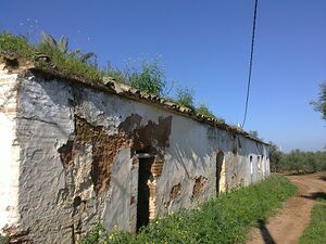 Victorias5.JPG