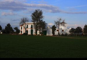 Molino Cordobés Sevilla 2.jpg