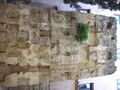 Miniatura de la versión del 09:15 17 abr 2025