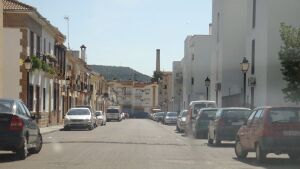 Calle Reina Sofía.jpg