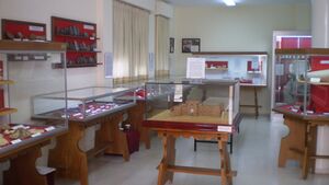 Museocanete2.jpg