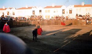Vaquillas feria 94 Fuente Palmera.jpg
