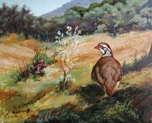 Perdiz 33x41.jpg