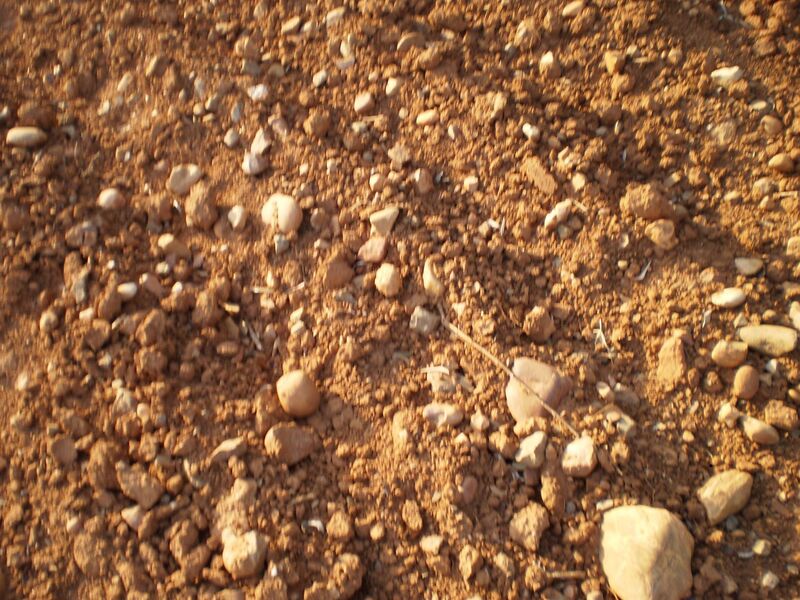 Archivo:Tierra.jpg