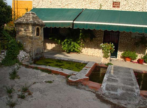 Higuera3.png
