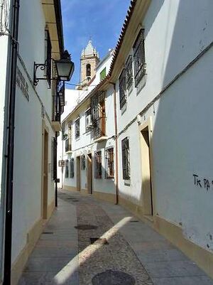 CalleTorredeSanAndres01.jpg