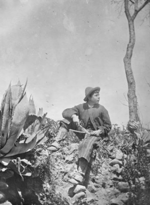 Chaval en escena costumbrista (1860s).png