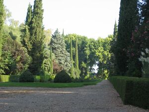 Moratalla(1).jpg
