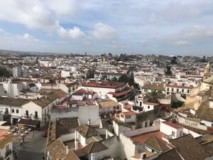 Vista de tejados desde San Lorenzo.jpg