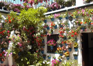 Patio Calle Tinte 9.jpg