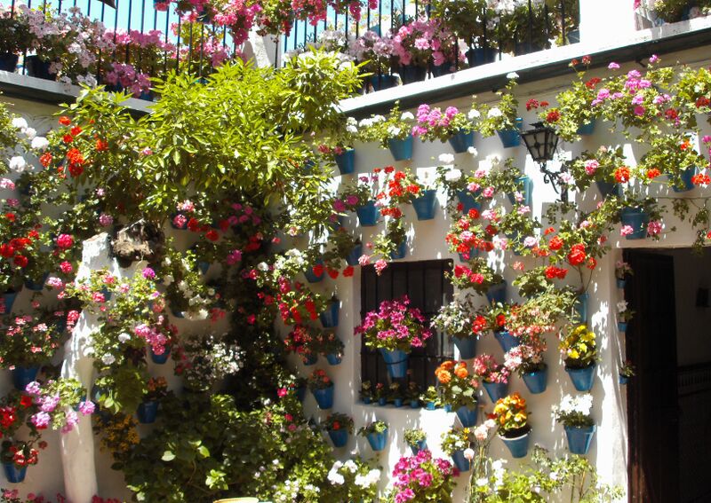 Archivo:Patio Calle Tinte 9.jpg