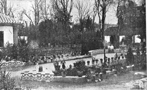 Jardines de la Agricultura (año 1928).png