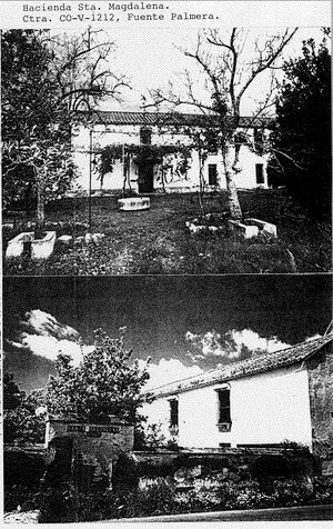 StaMagdalena1982.JPG