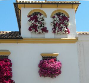 Rejas I.jpg