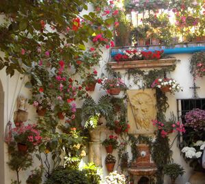 Pastora 2010.jpg
