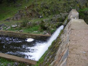 Montes comunales4.JPG