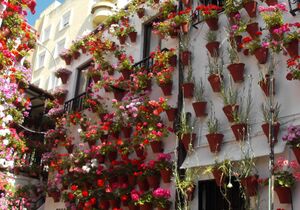 Patio Martín de Roa 9.jpg