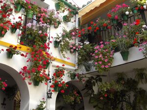 San Basilio 22.jpg