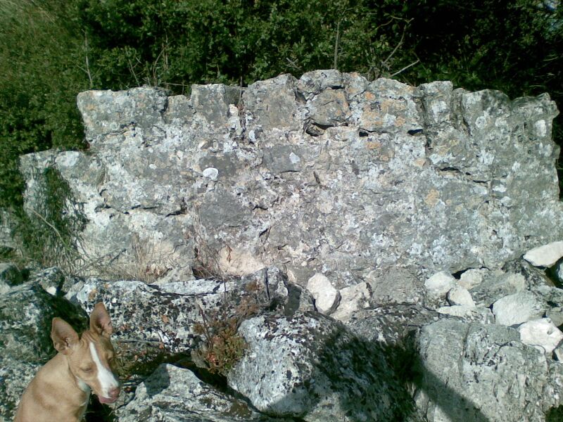 Archivo:Torre del puerto 1 Nueva Carteya.jpg