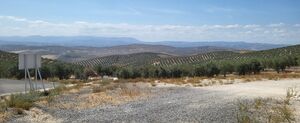 Torreparedones. Vistas del Olivar 4.jpg