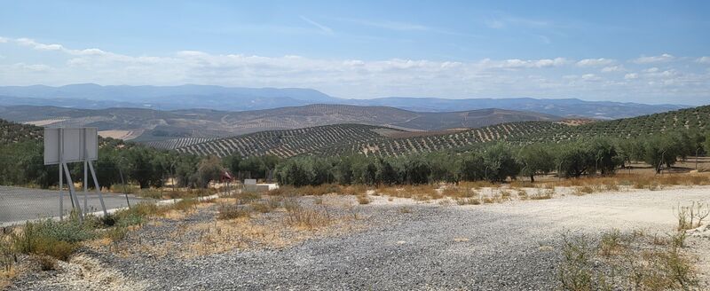 Archivo:Torreparedones. Vistas del Olivar 4.jpg
