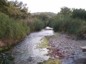P5290004.JPG