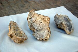 Piezas ulia.JPG