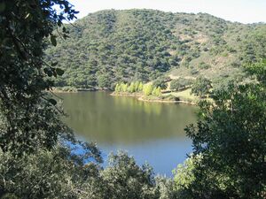 RioBembezar(9).jpg