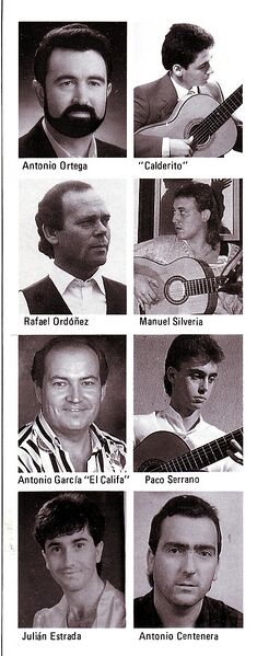 Archivo:Sección de Flamenco del Ateneo de Córdoba.jpg