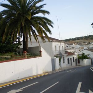 P6150051.JPG