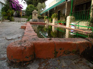 Higuera2.png