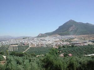 Rute lindo.jpg